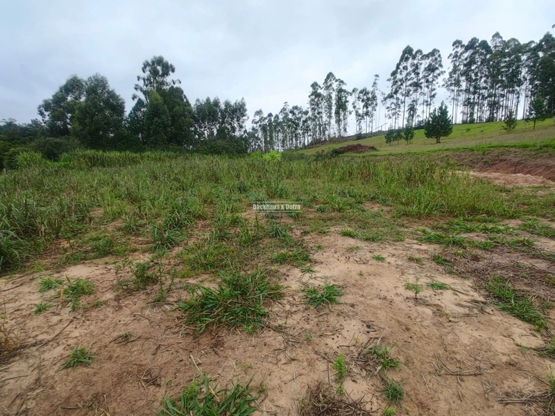 Santo Antônio da Patrulha- 1 Hectare com Casa- Campestre: 3ª foto da galeria de imagens do imóvel