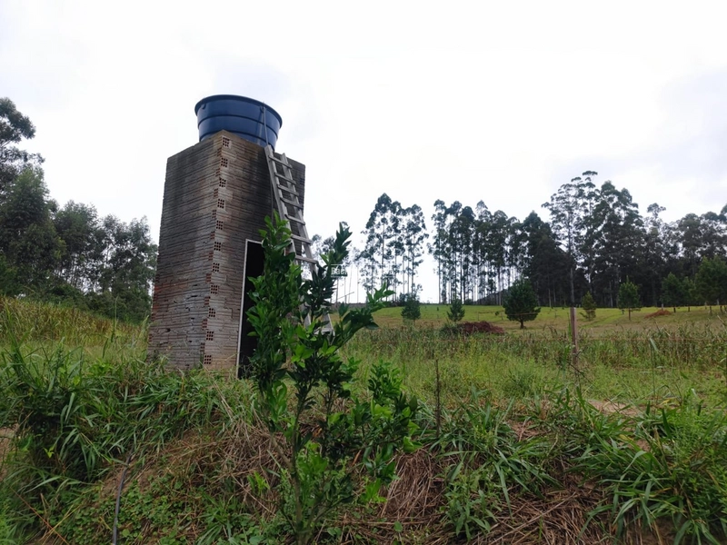 Santo Antônio da Patrulha- 1 Hectare com Casa- Campestre: 14ª foto da galeria de imagens do imóvel