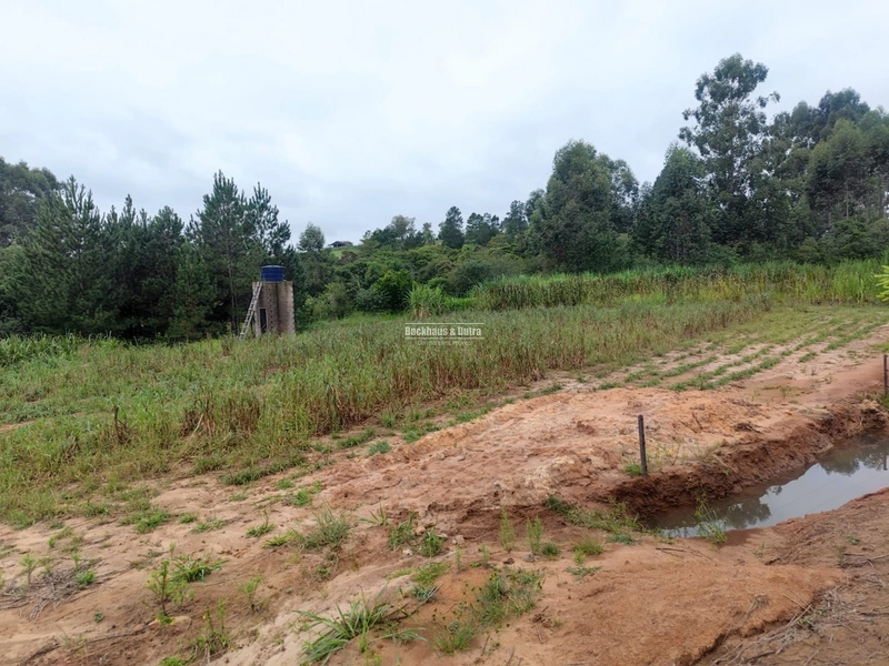 Santo Antônio da Patrulha- 1 Hectare com Casa- Campestre: 2ª foto da galeria de imagens do imóvel