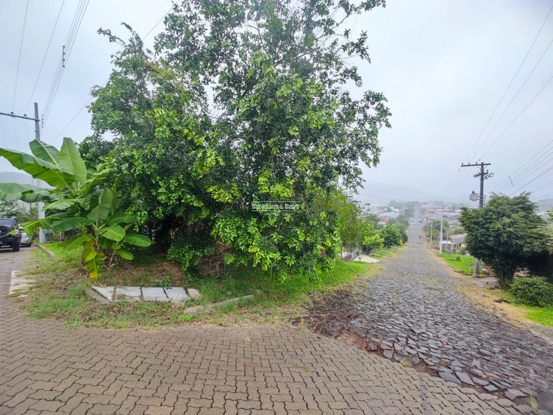 Rolante- Casa de esquina em alvenaria- Rio Branco: 4ª foto da galeria de imagens do imóvel
