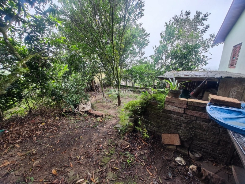 Rolante- Casa de esquina em alvenaria- Rio Branco: 5ª foto da galeria de imagens do imóvel