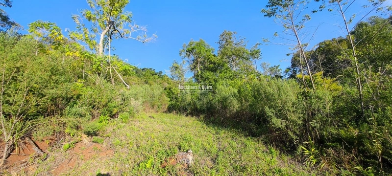 Rolante- 25 Hectares Com Riacho- Boa Esperança: 16ª foto da galeria de imagens do imóvel