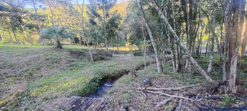 Rolante- 25 Hectares Com Riacho- Boa Esperança: 37ª foto da galeria de imagens do imóvel
