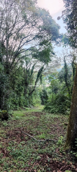 Rolante- 25 Hectares Com Riacho- Boa Esperança: 15ª foto da galeria de imagens do imóvel