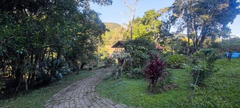 Rolante- 25 Hectares Com Riacho- Boa Esperança: 30ª foto da galeria de imagens do imóvel