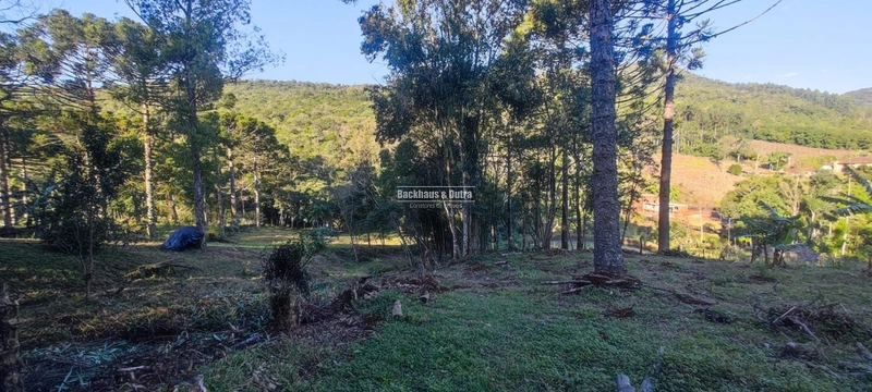 Rolante- 25 Hectares Com Riacho- Boa Esperança: 28ª foto da galeria de imagens do imóvel