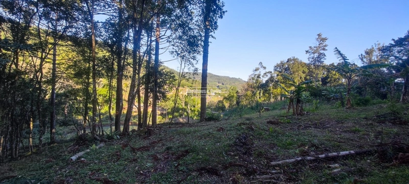 Rolante- 25 Hectares Com Riacho- Boa Esperança: 38ª foto da galeria de imagens do imóvel