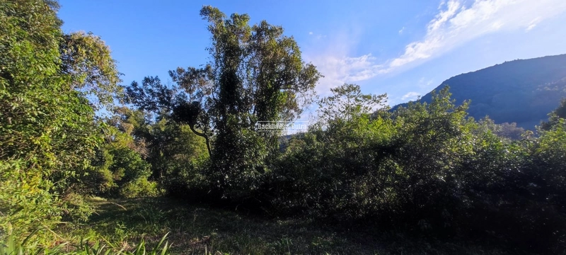 Rolante- 25 Hectares Com Riacho- Boa Esperança: 8ª foto da galeria de imagens do imóvel