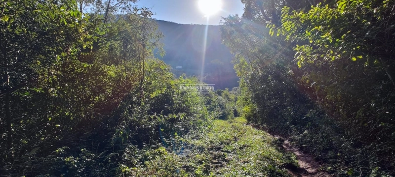 Rolante- 25 Hectares Com Riacho- Boa Esperança: 7ª foto da galeria de imagens do imóvel