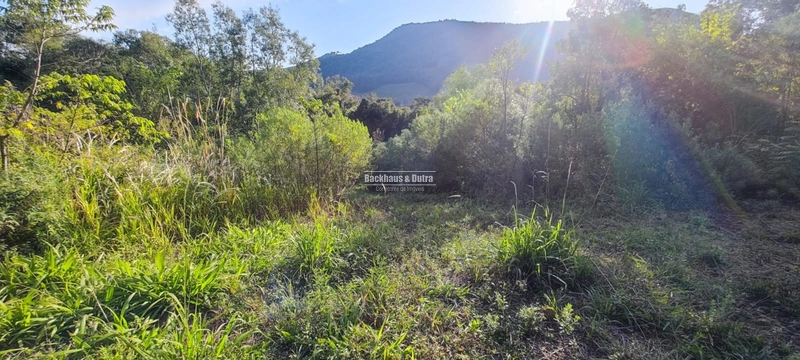 Rolante- 25 Hectares Com Riacho- Boa Esperança: 6ª foto da galeria de imagens do imóvel