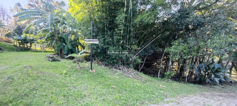 Rolante- 25 Hectares Com Riacho- Boa Esperança: 43ª foto da galeria de imagens do imóvel