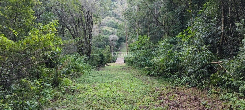 Rolante- 25 Hectares Com Riacho- Boa Esperança: 19ª foto da galeria de imagens do imóvel