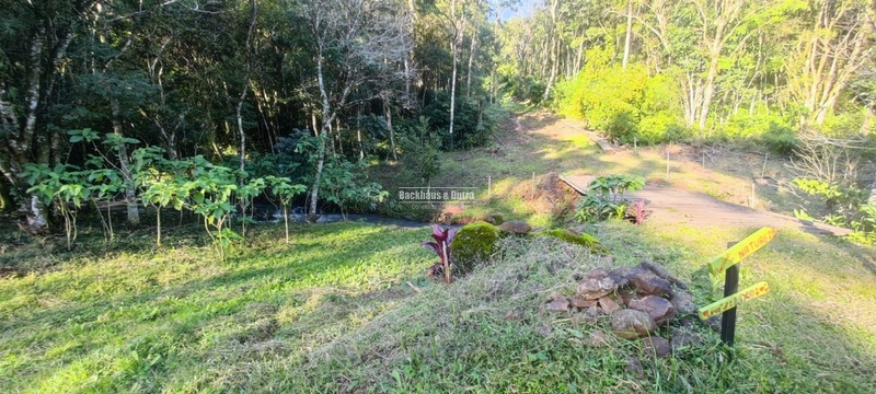 Rolante- 25 Hectares Com Riacho- Boa Esperança: 25ª foto da galeria de imagens do imóvel
