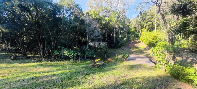 Rolante- 25 Hectares Com Riacho- Boa Esperança: 35ª foto da galeria de imagens do imóvel