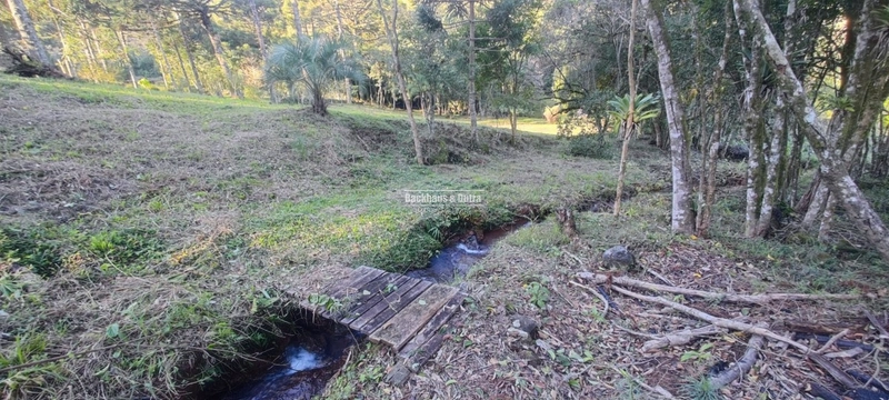 Rolante- 25 Hectares Com Riacho- Boa Esperança: 36ª foto da galeria de imagens do imóvel