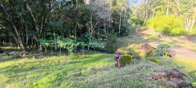 Rolante- 25 Hectares Com Riacho- Boa Esperança: 34ª foto da galeria de imagens do imóvel