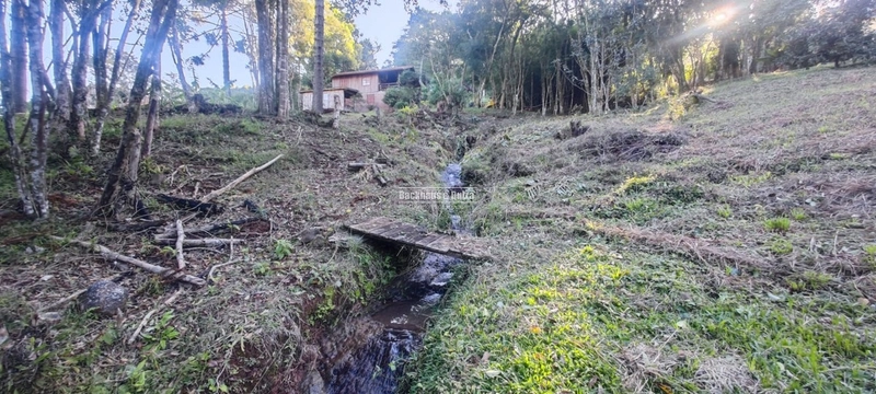 Rolante- 25 Hectares Com Riacho- Boa Esperança: 42ª foto da galeria de imagens do imóvel