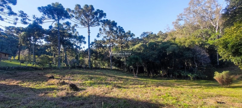 Rolante- 25 Hectares Com Riacho- Boa Esperança: 26ª foto da galeria de imagens do imóvel