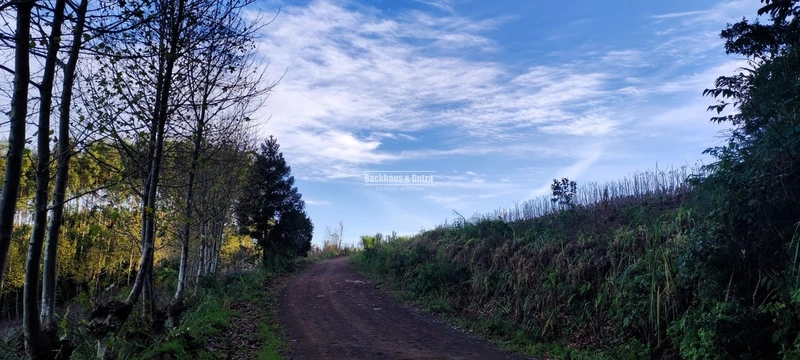 Rolante- 1.5 Hectares todo aproveitável- Boa Esperança: 3ª foto da galeria de imagens do imóvel