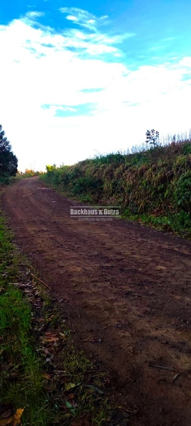 Rolante- 1.5 Hectares todo aproveitável- Boa Esperança: 5ª foto da galeria de imagens do imóvel