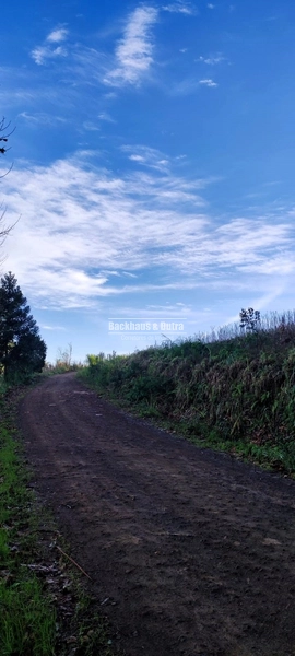 Rolante- 1.5 Hectares todo aproveitável- Boa Esperança: 4ª foto da galeria de imagens do imóvel