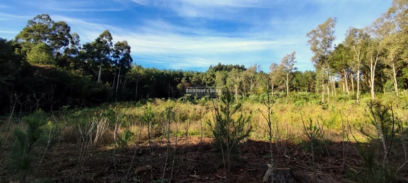 Rolante- 1.5 Hectares todo aproveitável- Boa Esperança: 9ª foto da galeria de imagens do imóvel
