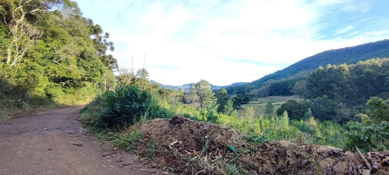Rolante- 1.5 Hectares todo aproveitável- Boa Esperança: 11ª foto da galeria de imagens do imóvel