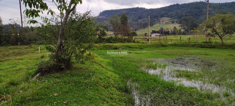 Excelente chácara de 3 Hectares com Casa e arroio...: 6ª foto da galeria de imagens do imóvel
