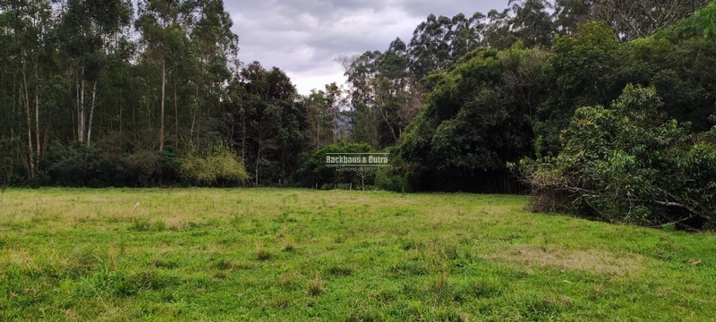 Excelente chácara de 3 Hectares com Casa e arroio...: 7ª foto da galeria de imagens do imóvel