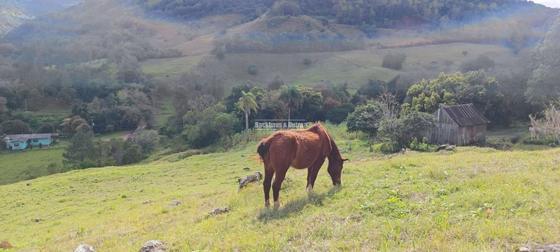 Taquara - 24 Hectares com Casa- Padilha Velha: 22ª foto da galeria de imagens do imóvel