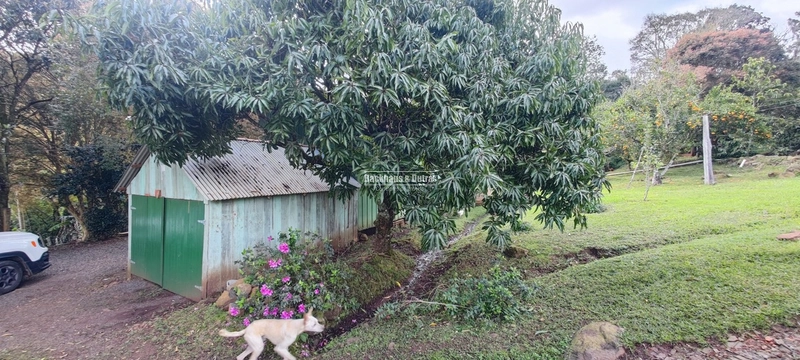 Taquara - 24 Hectares com Casa- Padilha Velha: 31ª foto da galeria de imagens do imóvel