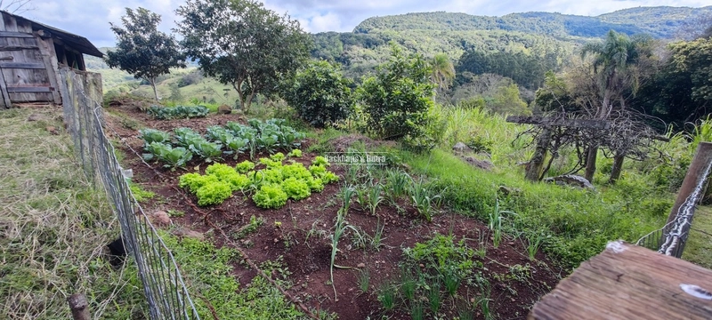Taquara - 24 Hectares com Casa- Padilha Velha: 27ª foto da galeria de imagens do imóvel