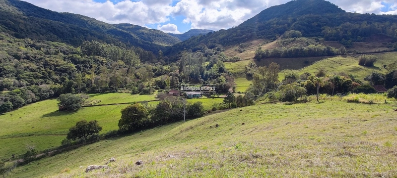 Taquara - 24 Hectares com Casa- Padilha Velha: 20ª foto da galeria de imagens do imóvel