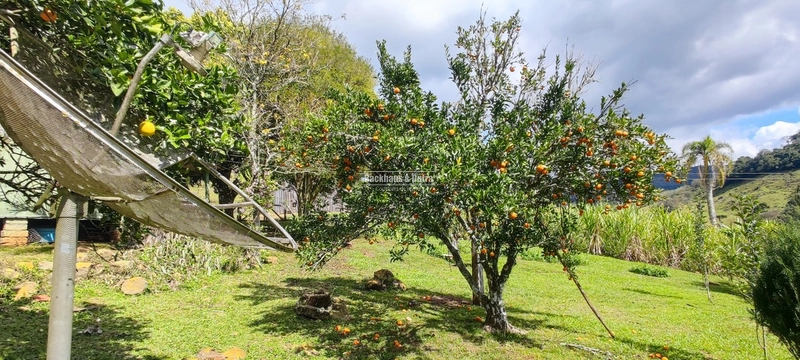 Taquara - 24 Hectares com Casa- Padilha Velha: 3ª foto da galeria de imagens do imóvel