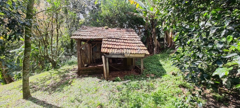 Taquara - 24 Hectares com Casa- Padilha Velha: 4ª foto da galeria de imagens do imóvel