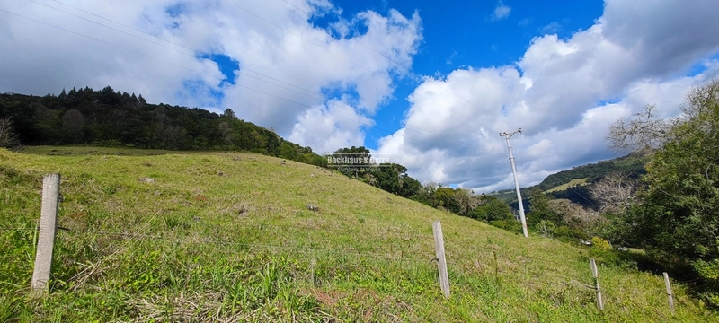 Taquara - 24 Hectares com Casa- Padilha Velha: 34ª foto da galeria de imagens do imóvel