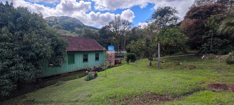 Taquara - 24 Hectares com Casa- Padilha Velha: 30ª foto da galeria de imagens do imóvel