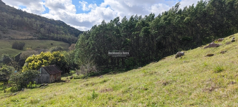 Taquara - 24 Hectares com Casa- Padilha Velha: 21ª foto da galeria de imagens do imóvel