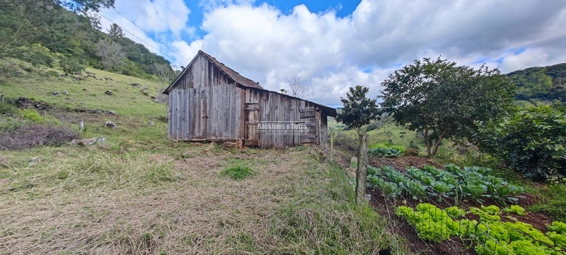 Taquara - 24 Hectares com Casa- Padilha Velha: 26ª foto da galeria de imagens do imóvel
