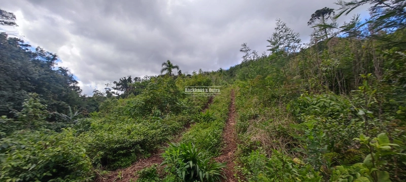 Taquara - 24 Hectares com Casa- Padilha Velha: 8ª foto da galeria de imagens do imóvel
