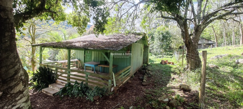 Taquara - 24 Hectares com Casa- Padilha Velha: 6ª foto da galeria de imagens do imóvel