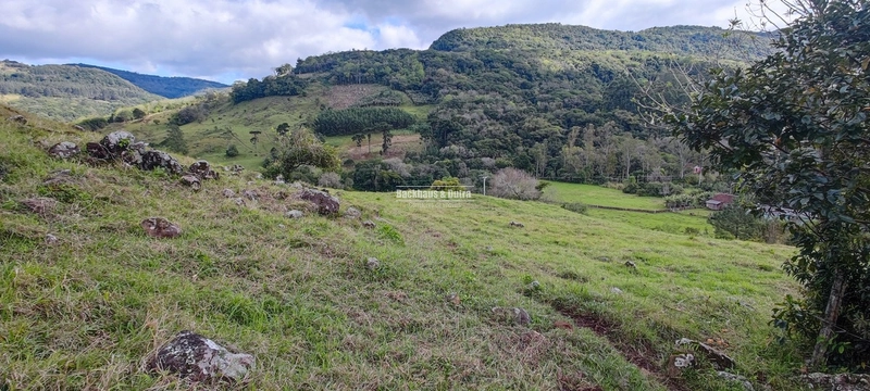 Taquara - 24 Hectares com Casa- Padilha Velha: 25ª foto da galeria de imagens do imóvel