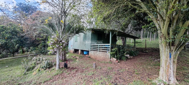 Taquara - 24 Hectares com Casa- Padilha Velha: 28ª foto da galeria de imagens do imóvel