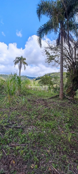 Taquara - 24 Hectares com Casa- Padilha Velha: 32ª foto da galeria de imagens do imóvel
