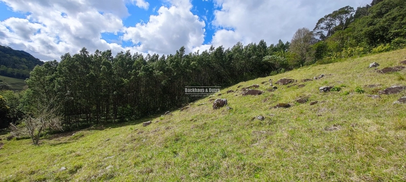 Taquara - 24 Hectares com Casa- Padilha Velha: 18ª foto da galeria de imagens do imóvel
