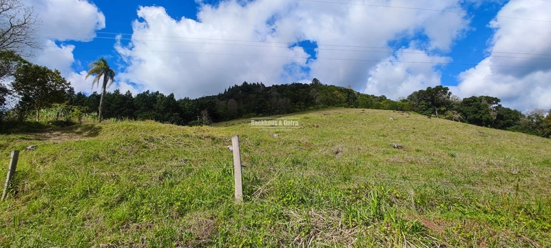 Taquara - 24 Hectares com Casa- Padilha Velha: 33ª foto da galeria de imagens do imóvel
