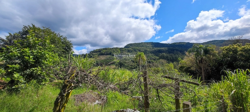 Taquara - 24 Hectares com Casa- Padilha Velha: 5ª foto da galeria de imagens do imóvel