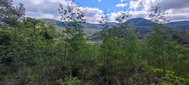 Taquara - 24 Hectares com Casa- Padilha Velha: 9ª foto da galeria de imagens do imóvel
