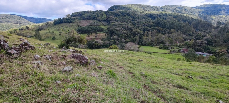 Taquara - 24 Hectares com Casa- Padilha Velha: 23ª foto da galeria de imagens do imóvel