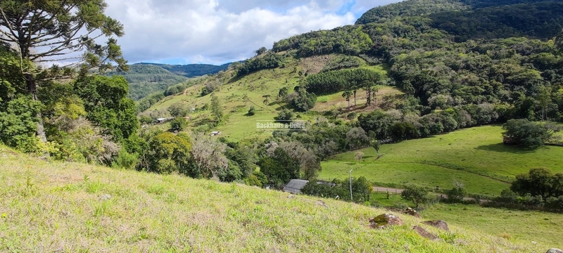 Taquara - 24 Hectares com Casa- Padilha Velha: 19ª foto da galeria de imagens do imóvel